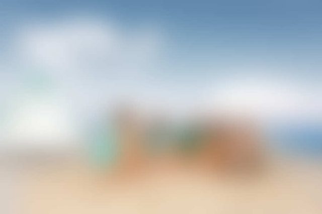 sample 2