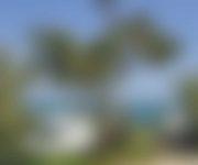 Close to the Beach