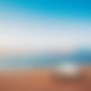 Latest Wordpress News