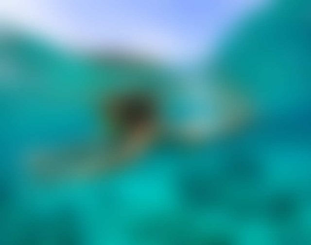 Sample 2