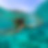 Sample 2